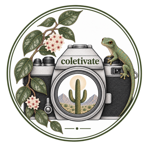Coletivate